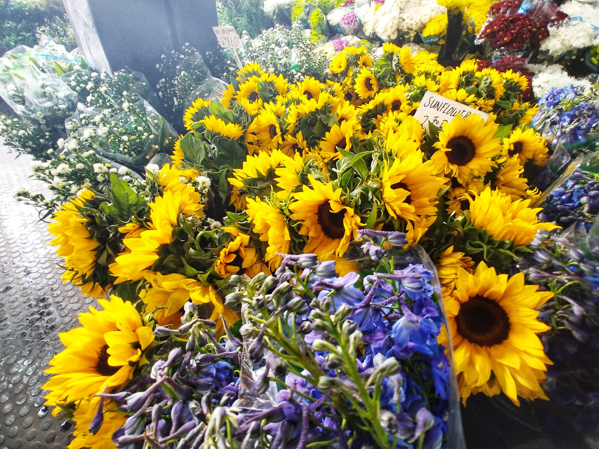 Ulrich Janse van Vuuren on Twitter "Getting baked treats from master bakers at the bakery and