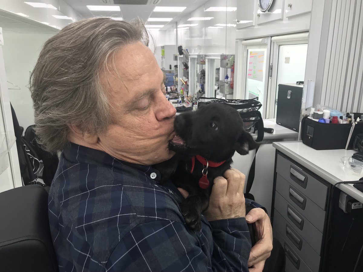 MarkHamill's tweet photo. A-This is Mango the puppy. 
B-He is good at kissing.
C-He is better at biting.
D-Now that he's had a taste of human flesh, he is completely uninterested in his     rubber bone. 
#BiteMe 😬
#MiniTeethingHellHound 🧛‍♂️ https://t.co/S4bhDff8L1