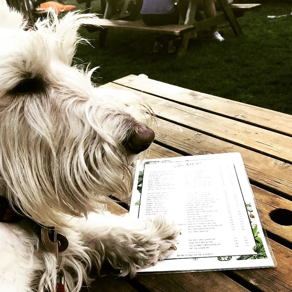 The Mustard Pot tweet media