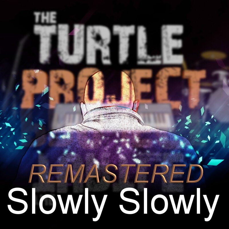 Slowly Slowly by The Turtle Project