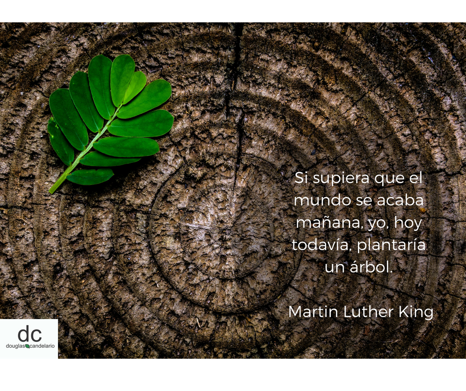 "Si supiera que el mundo se acaba mañana, yo, hoy todavía, plantaría un árbol." -Martin Luther King