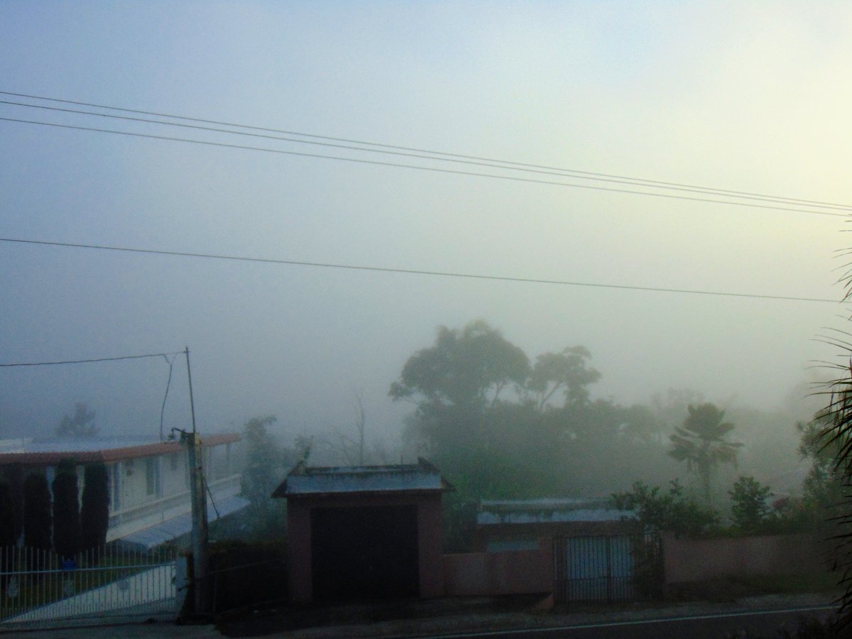 Roberto11462's tweet photo. @rcortestv2 Asi amanecio en Aibonito hoy domingo 9 de septiembre de 2018 (fotos tomadas a las 7:15 am por Roberto Torres en el Barrio Llanos) https://t.co/O1mSxWJqyl
