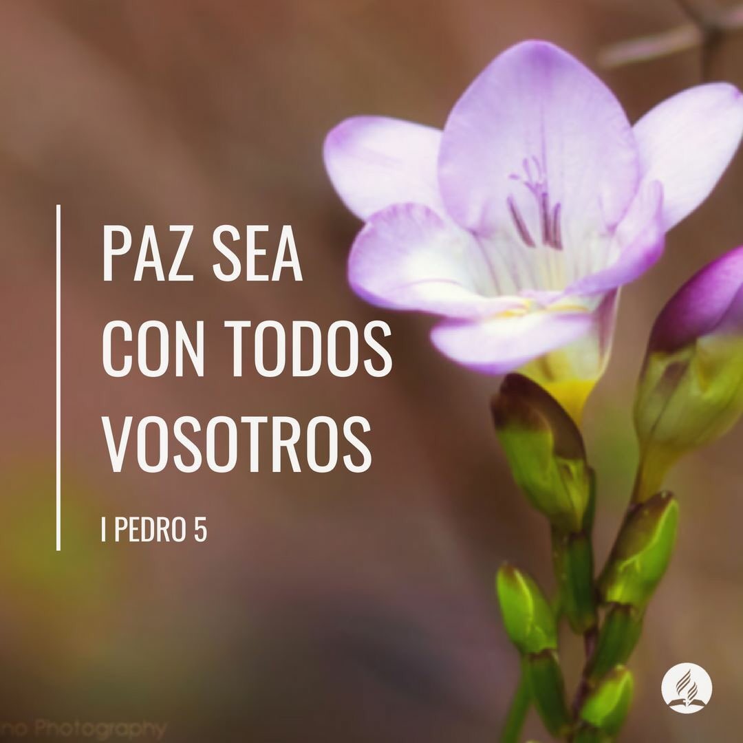 AdventistaMiCOP's tweet photo. #IPedro5 . Pero Dios os los ofrece como un don, “sin dinero y sin precio.” Son vuestros, con tal que extendáis la mano para tomarlos. (EGW-CC) #pedro #rpsp #paz #Dios https://t.co/R2RS7ZhmmE