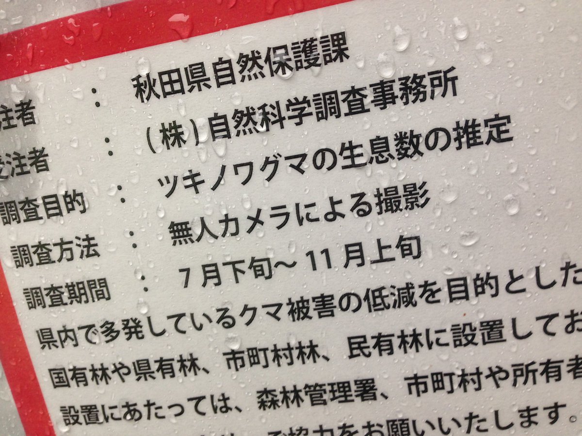 裏山の道路脇でクマ調査をしていました。人家近くに仕掛けたオリでも最近捕獲されました。今までいなかったイノシシも出没しだしました。怖い…😱💦💦💦