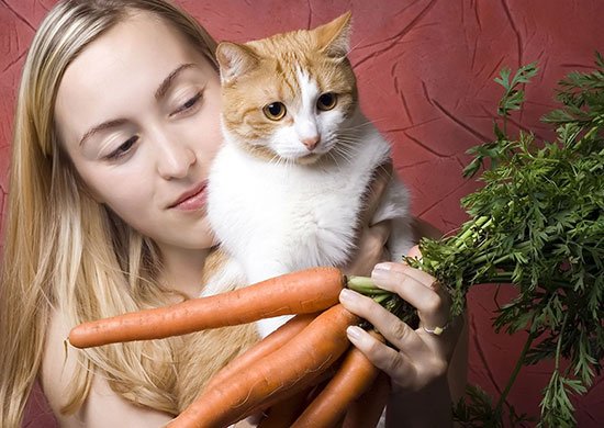 vegans with cats
