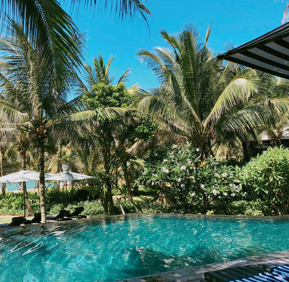 A corner of tropical paradise
📷: @ordinary__sj
🌴: #intercontinentaldanang
#vibes #poolday #tropicalvibes #dreamvacation #vietnam