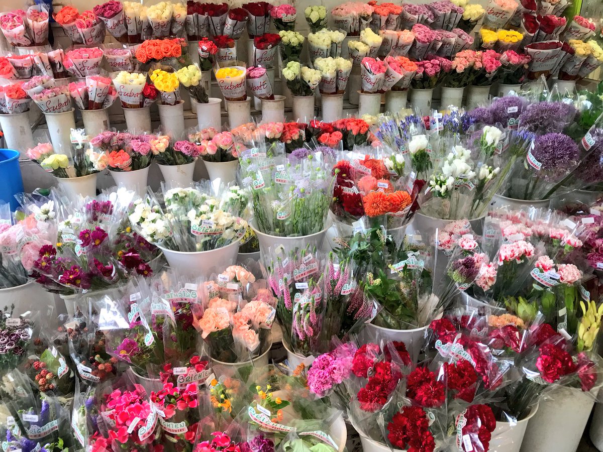 宮崎大輔 イチゴテック 今日は香港のローカルマーケットとスーパーマーケットと高級スーパー 花屋 ケーキ屋を巡って 野菜と果物と花の市場調査をしてきました 香港関連の仕事が増えてきたので情報収集に力を入れます