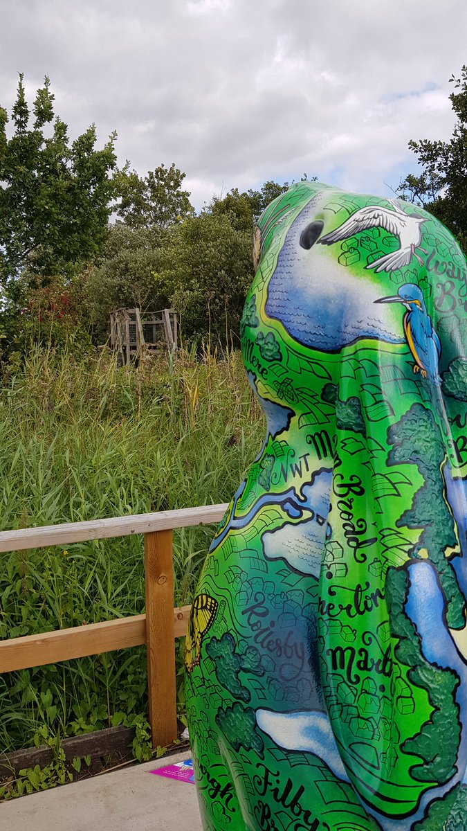 Farewell – I have had a most marvellous summer at <a href="/SupportNWT/">NWT — OLD ACCOUNT, NOW @NorfolkWT</a> Ranworth Broad. I have very much enjoyed meeting you all. My thanks must go to <a href="/Swallowtailprin/">Swallowtail Print</a> for sponsoring me and <a href="/genealityart/">Beverley Gene Coraldean</a> for designing me so beautifully. Thank you @GoGoHares2018 for a wonderful summer.