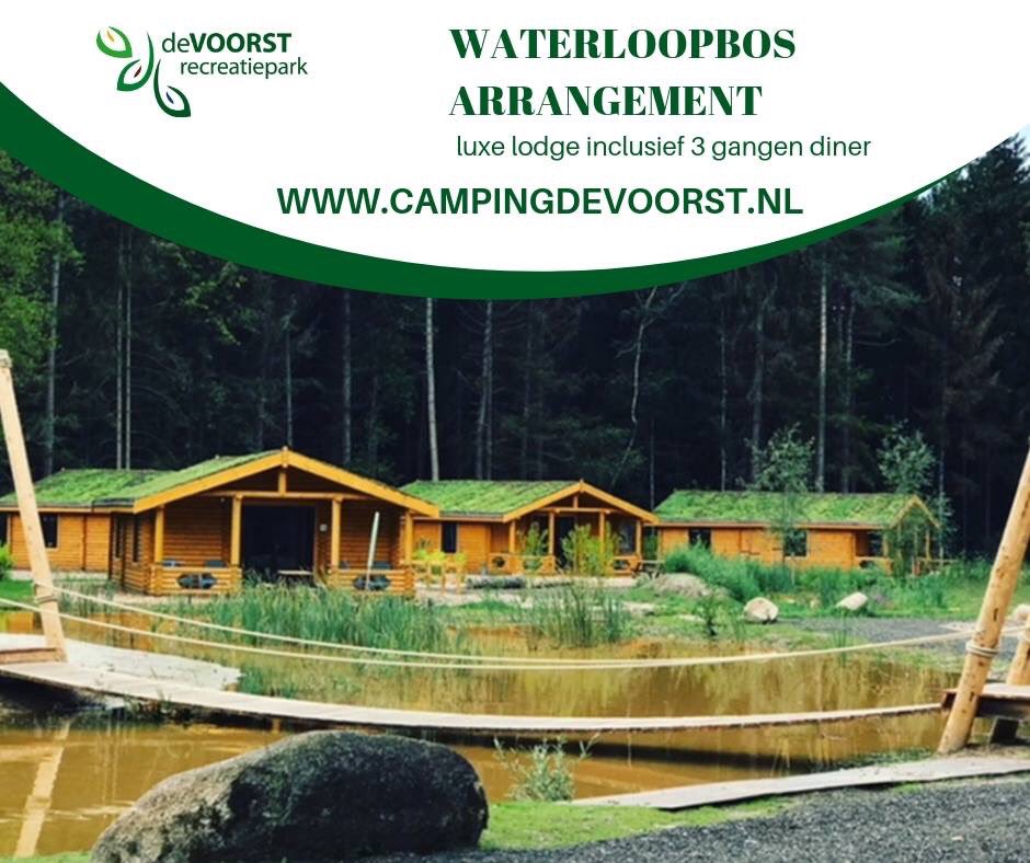 Eind september is het feest in het Waterloopbos. Kom bij ons overnachten en maak het allemaal mee! campingdevoorst.nl @Natuurmonument @toerismeflevo #openmonumentendag #deltawerken #kunst #lichtaan