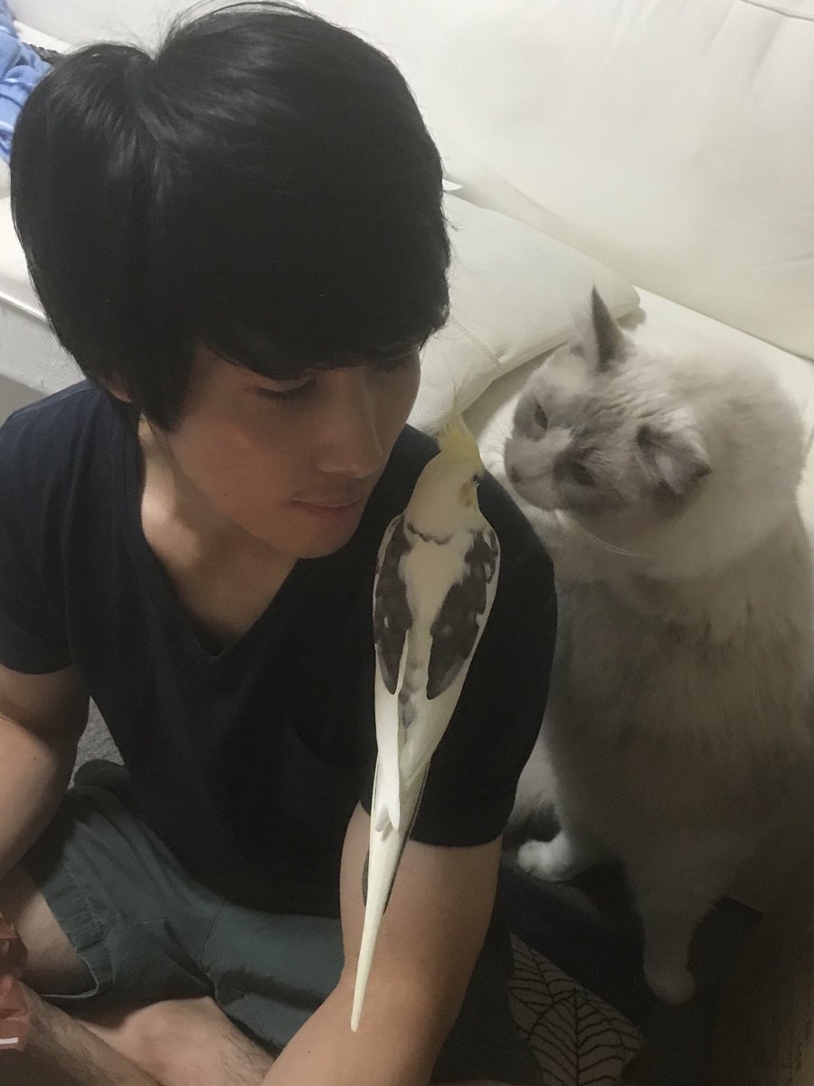 江口 大輔 (@dai1913) / Posts / X