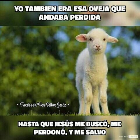 AlexSotoVives's tweet photo. #BuenosDías #FelizDomingo Jehová #Jesucristo #ContigoAprendí #ContigoEnTodo #EnEsteDíaSiento #LoMasVisto https://t.co/dXKhSP3EAs