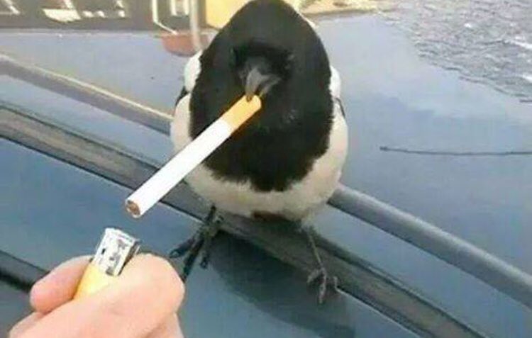 𝓔𝓚 tweet media