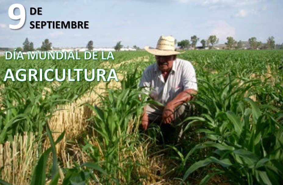 Уругвай сельское хозяйство. Cattle country fest. Растениеводство. Земледелие мексика. Животноводство в парагвае.