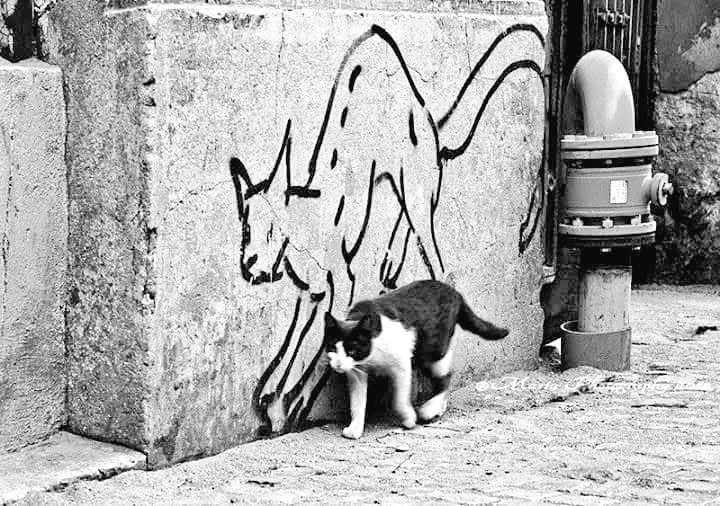bw chat