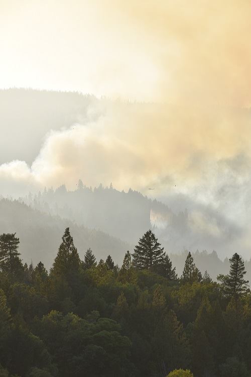 KRCR7's tweet image. KERLIN FIRE UPDATE: As of Sunday, September 9, at 7:30 a.m., the #KerlinFire is now 13 percent contained and has burned 1,645 acres. 

More &amp;gt;&amp;gt; krcrtv.com/news/local/ker…