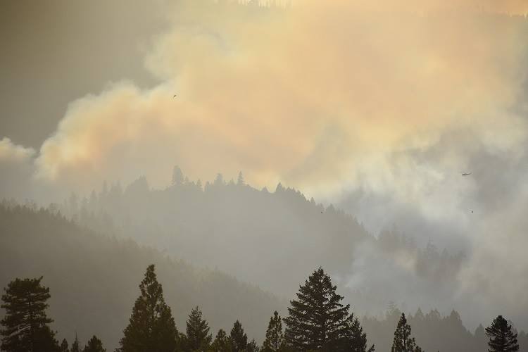 KRCR7's tweet image. KERLIN FIRE UPDATE: As of Sunday, September 9, at 7:30 a.m., the #KerlinFire is now 13 percent contained and has burned 1,645 acres. 

More &amp;gt;&amp;gt; krcrtv.com/news/local/ker…