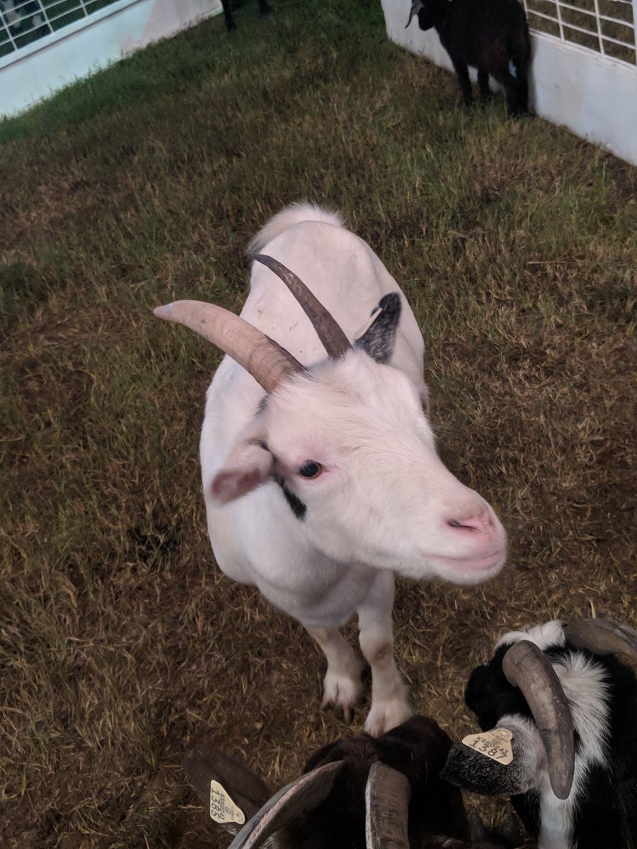 drdrewdown's tweet image. Excited to see @311 in #Wichita at @INTRUSTarena tonight! 

I'd love to hear #UseOfTime! If at all possible.. Thanks in Advance 🍻💖💣💥💨 #GOAT