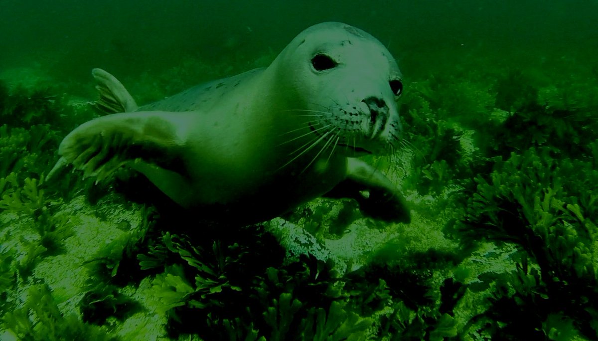 Ben Burville tweet media