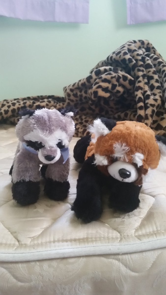 stuffed safari location