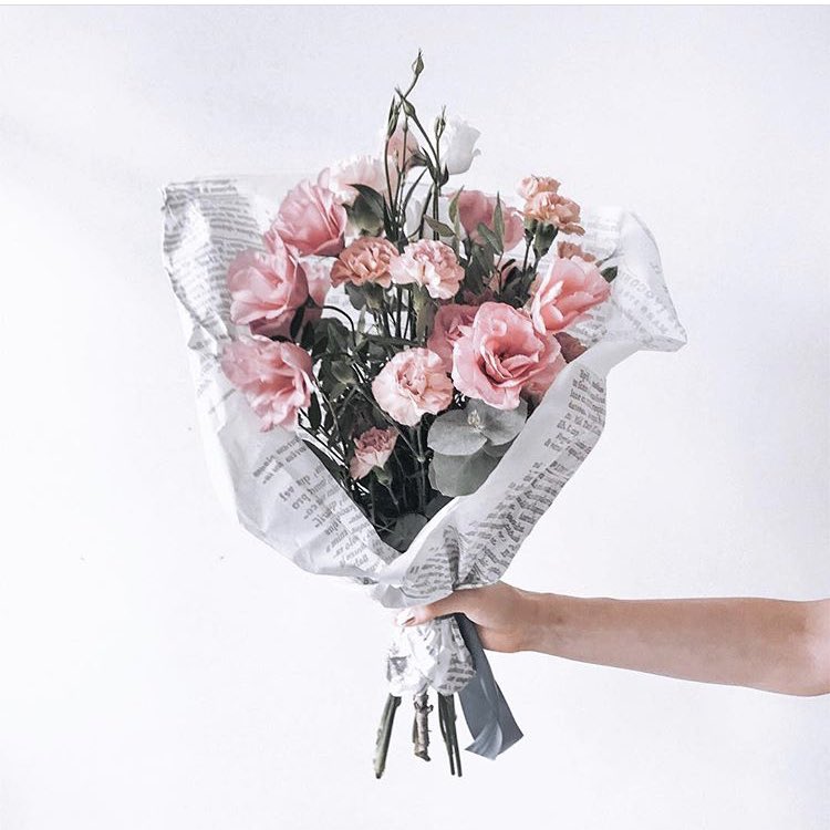 Sunday blooms 🌸🌸🌸