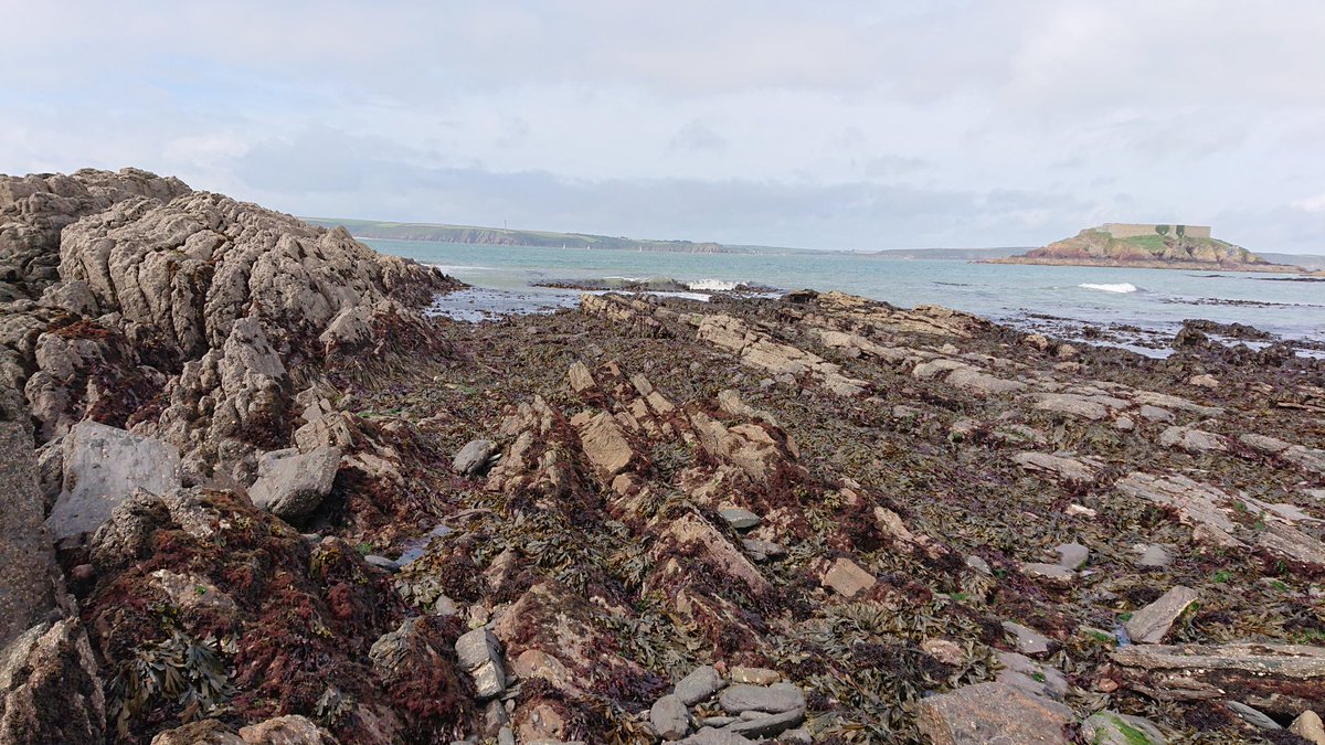 TangsOcean's tweet photo. Great first day with @NatResWales on the #PembrokeshireIntertidalMarineSurvey2018 #WestAngle #beach #surveys @JNCC_UK https://t.co/lU0bGLeb0r