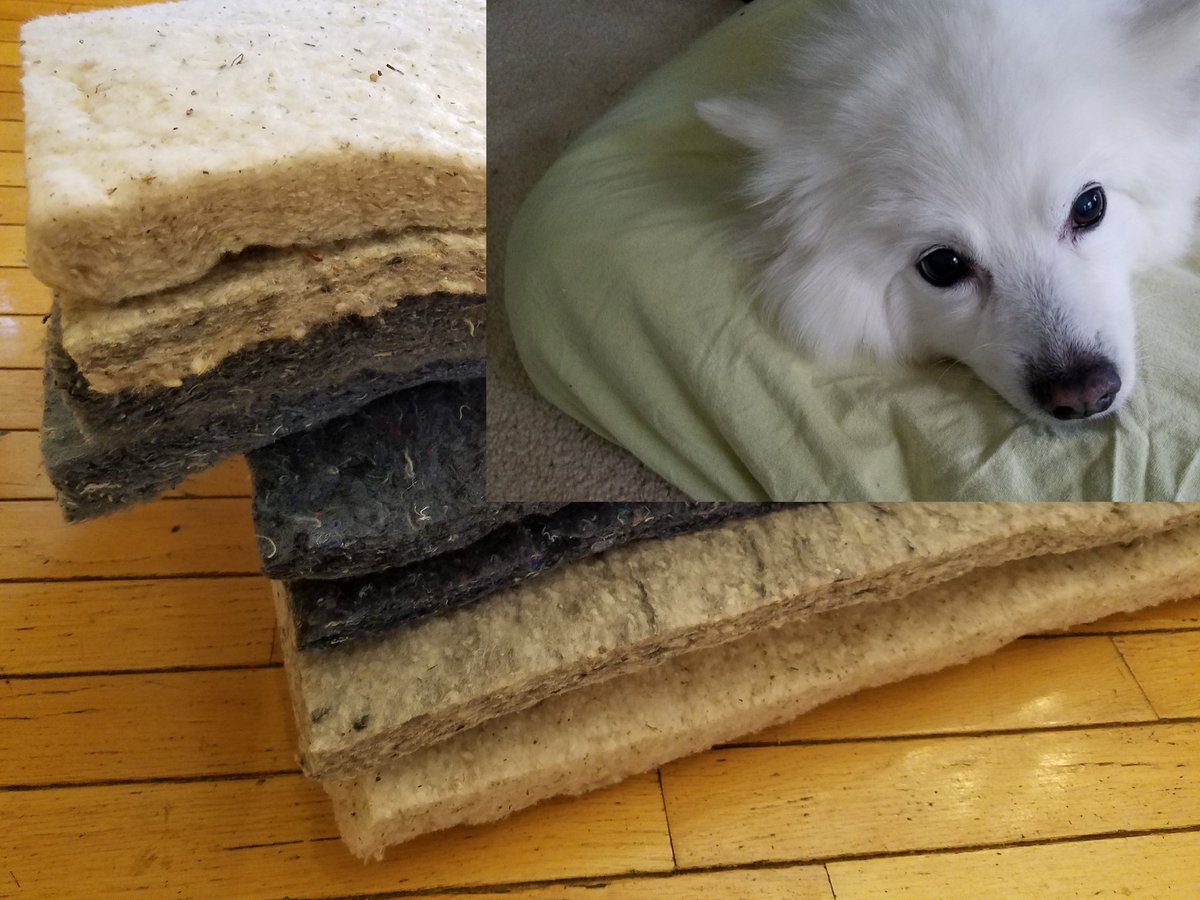 danieldbower's tweet photo. @HelloFresh found a way to recycle the cotton insulation:  Just add a couple baby sheets and... dog bed! https://t.co/YehrdW2Gqx