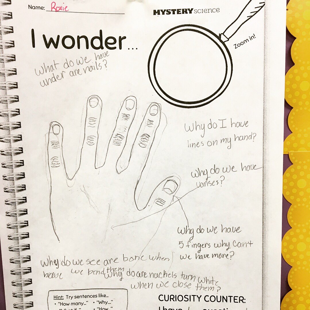 MrsYazz4thgrade's tweet photo. First science observations and wonderings of the year! The students came up with some great questions about our hands! #mysteryscience @MysterySci we loved this lesson to start off our year! @RosaIsiah @smithLESD @LESDSchools https://t.co/KDt8RznmfE