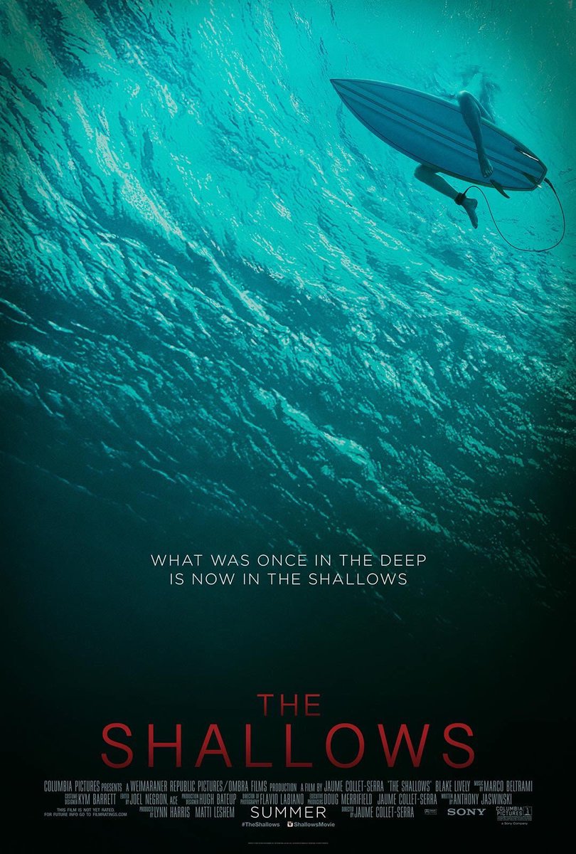 فيلم و قصة Twitterren The Shallows 2016 راكبة أمواج تجد نفس ها عالقة فوق صخرة عائمة ويفص ل بينها وبي ن الشاطئ سمك ق رش م فترس يتربص جميع محاولاتها للنجاة فكيف تنجو إثارة رعب 10 6 3 Https T Co Rfmimw7c6k