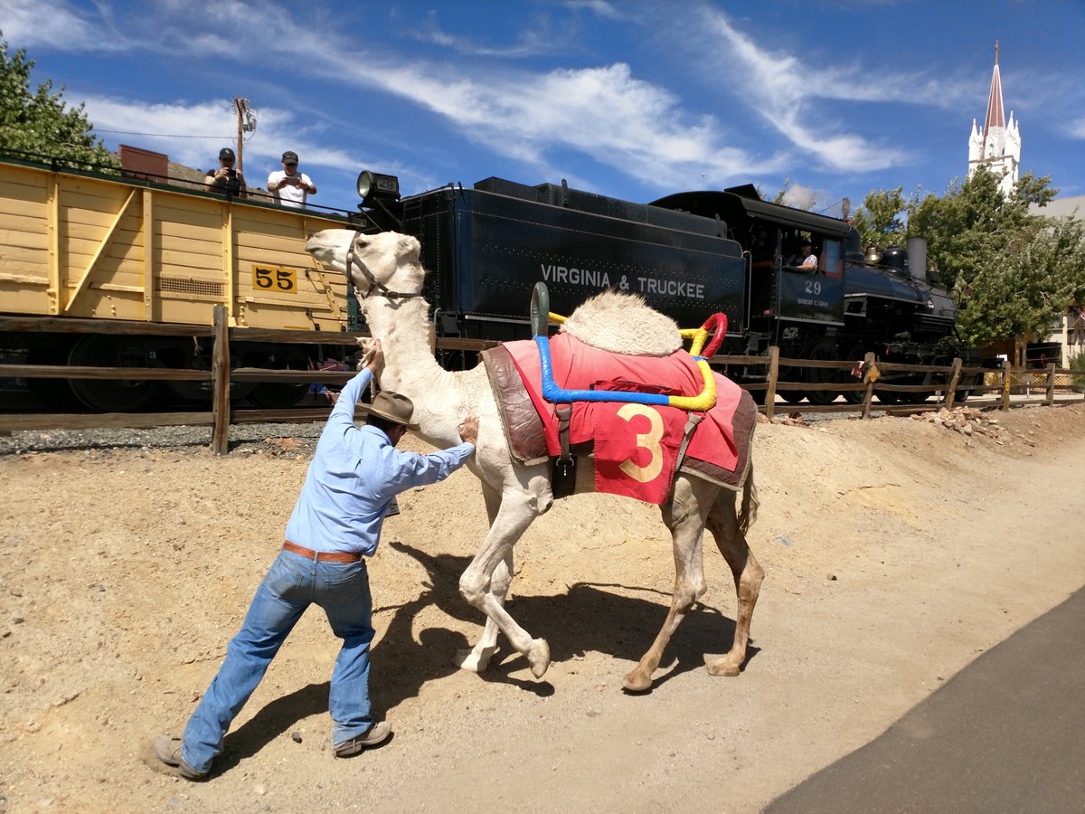 Virginia & Truckee tweet media