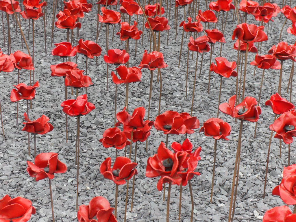 Pinklinkladies's tweet photo. Today we visited the @IWMNorth to see the stunning #PoppyWave tribute to the fallen of #WWI #PoppyTour Thought provoking... https://t.co/ZZX0t26OAZ