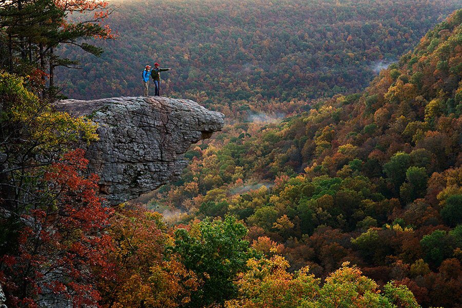 roccobluejeans's tweet photo. Finally feels like fall in Fayetteville 🍁 🍂 🎃 🏈 https://t.co/21C38BVAP0