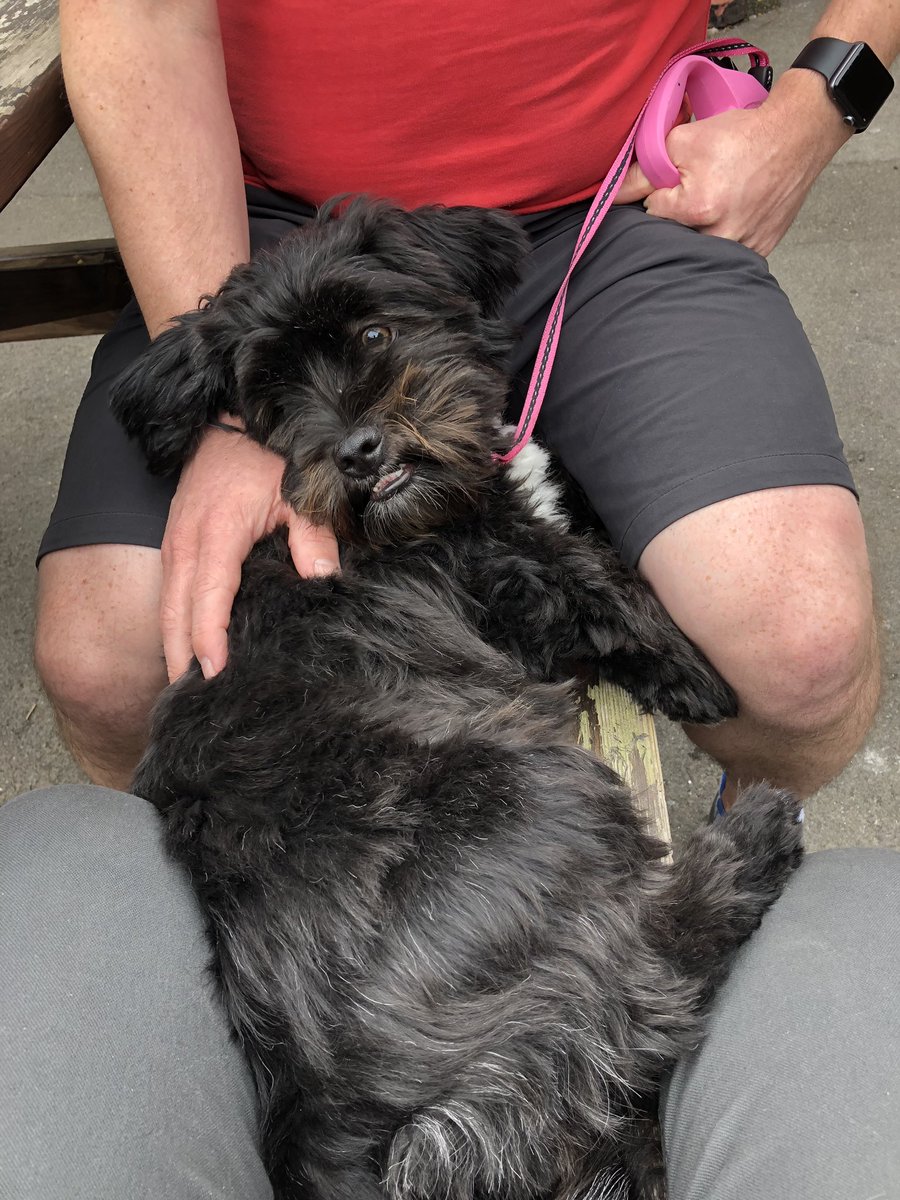 A Sunday afternoon walk with a pub stop en-route (think Jim dog liked the rest) 😄