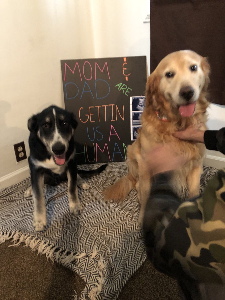 r_colley1's tweet photo. Chase and I are excited to announce that in March 2019 we will be welcoming baby Schultz!❤️❤️ @schultzieB4L https://t.co/JdnWVL80FZ