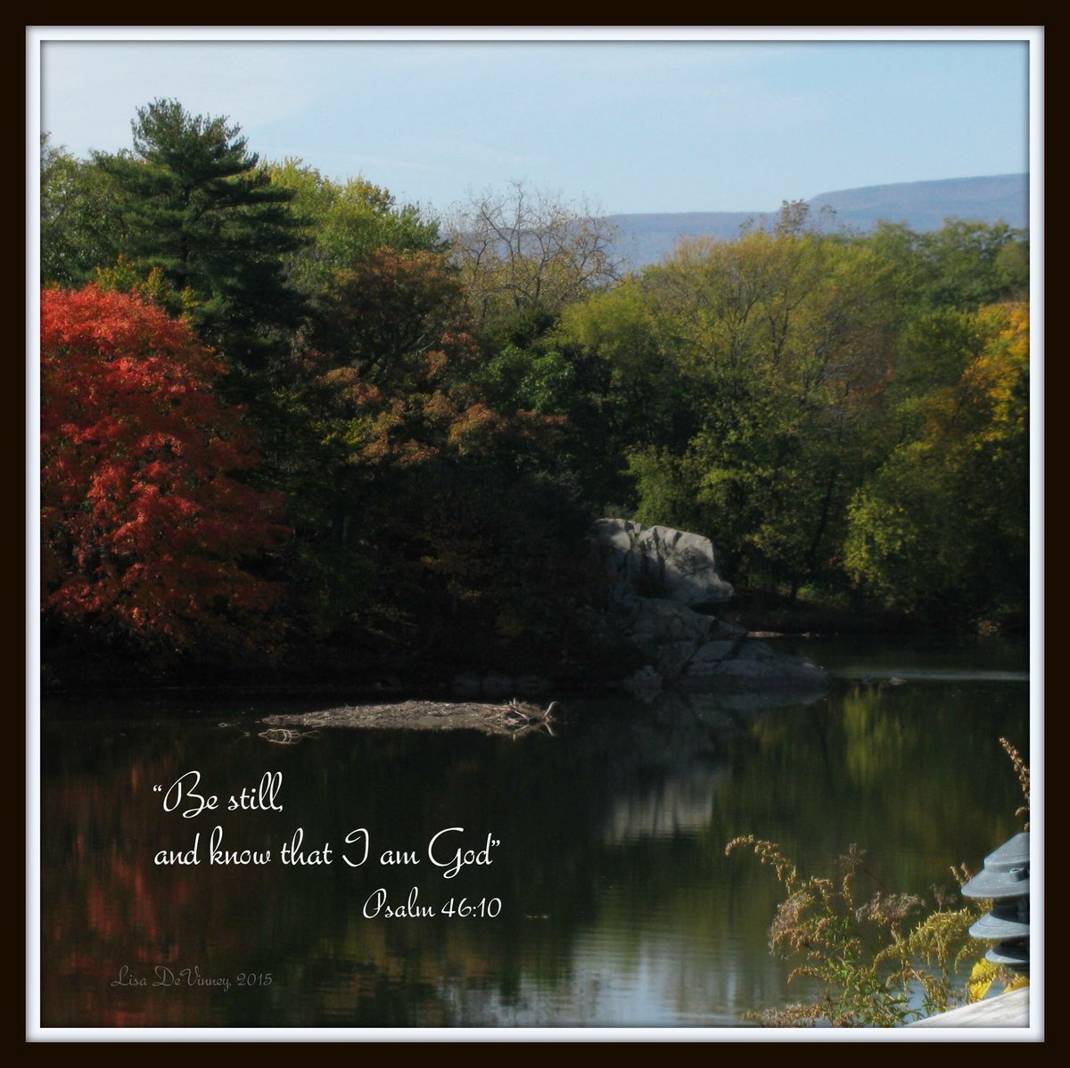 Lisa DeVinney (@lldevinney) on Twitter photo 