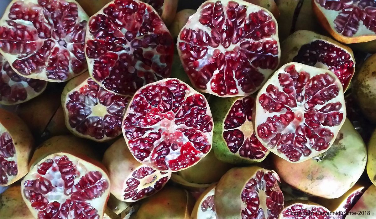 positivewind's tweet image. prendendo spunto dalla domanda..chi c'è in queste foto? dovrei fare un elenco "sostanzioso" di vent'anni di esperienza...di storia di coltivazioni di melagrane.