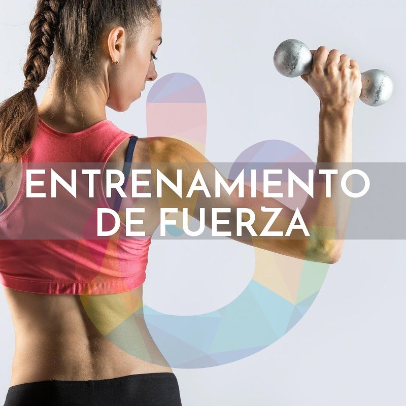 Los ejercicios de #QiForze están hechos de acuerdo a los 7 movimientos elementales para ayudarte a desarrollar fuerza muscular, resistencia, y agilidad en una forma única y divertida ➡
bit.ly/QiClK
#nutricion #saludable #salud #bienestar #vidasana #ejerciciodefuerza