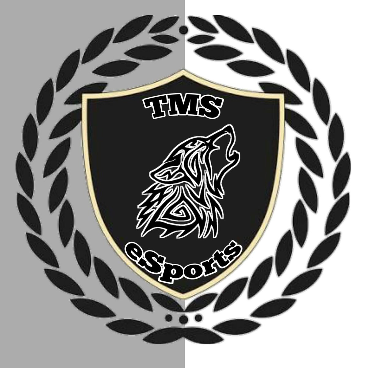TMS eSports (@esports_tms) / Posts / X
