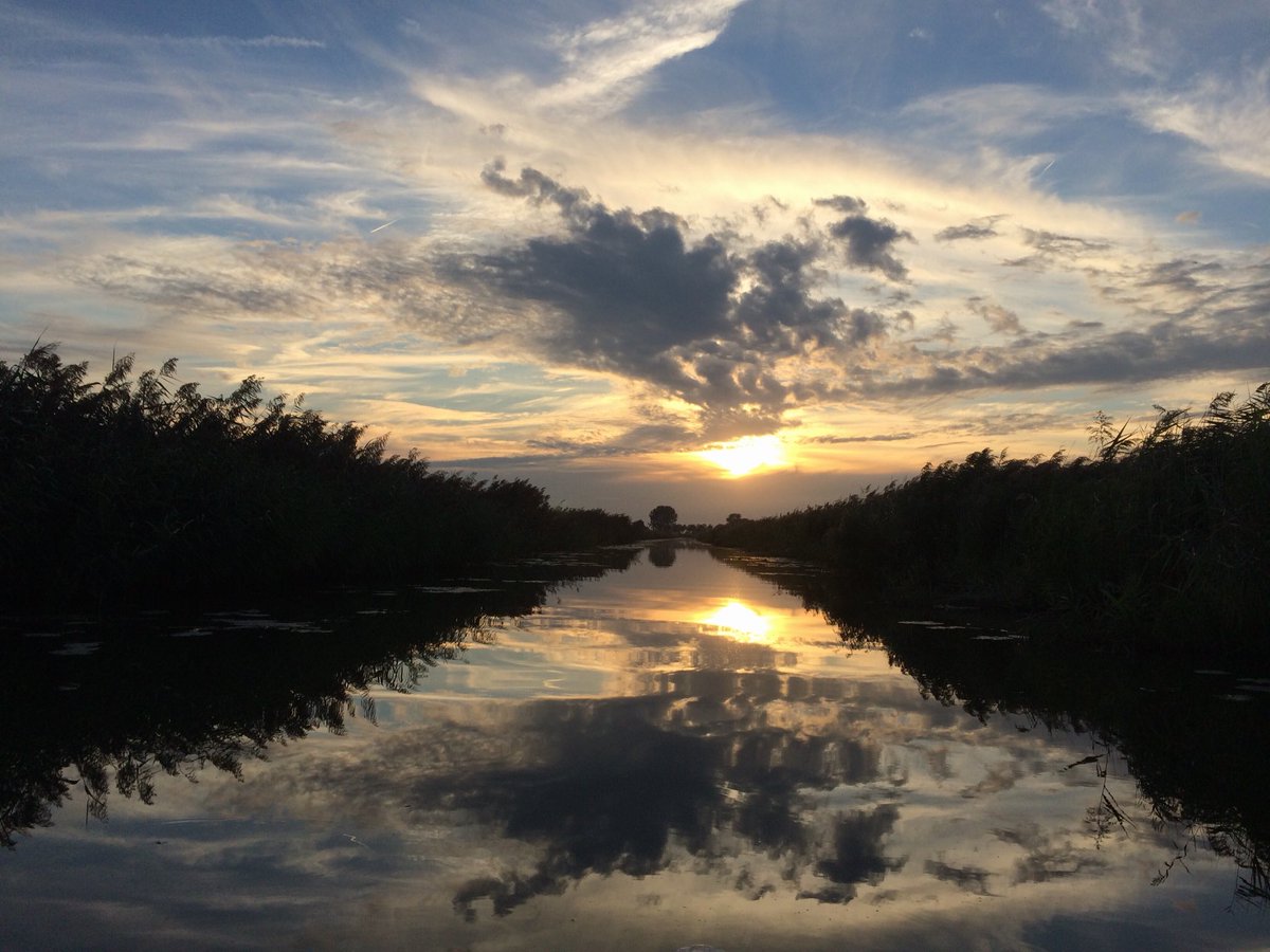 Natuur aan de rand van de stad! Dit keer in Leeuwarden. Helemaal blij toen we verrast werden door de kleine vuurvlinder! Ze ging er eens even mooi voor zitten! :)