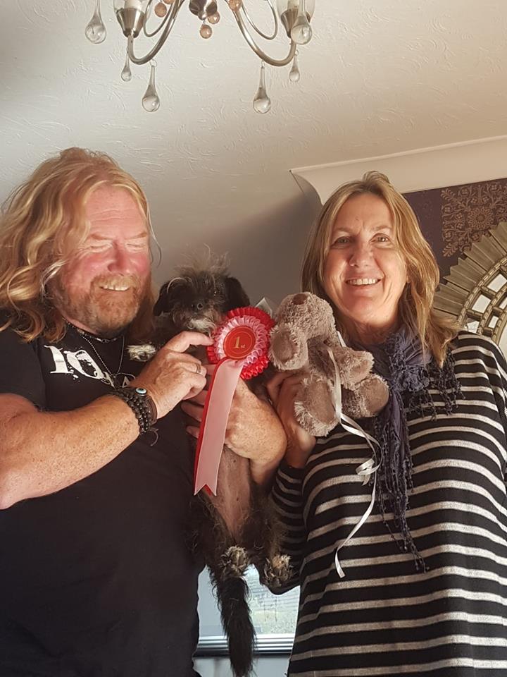 ProgWinds's tweet image. Proud parents of #Progdog (aka Pepsi) - winner of the Scruffiest Dog at Ropner Park this morning!