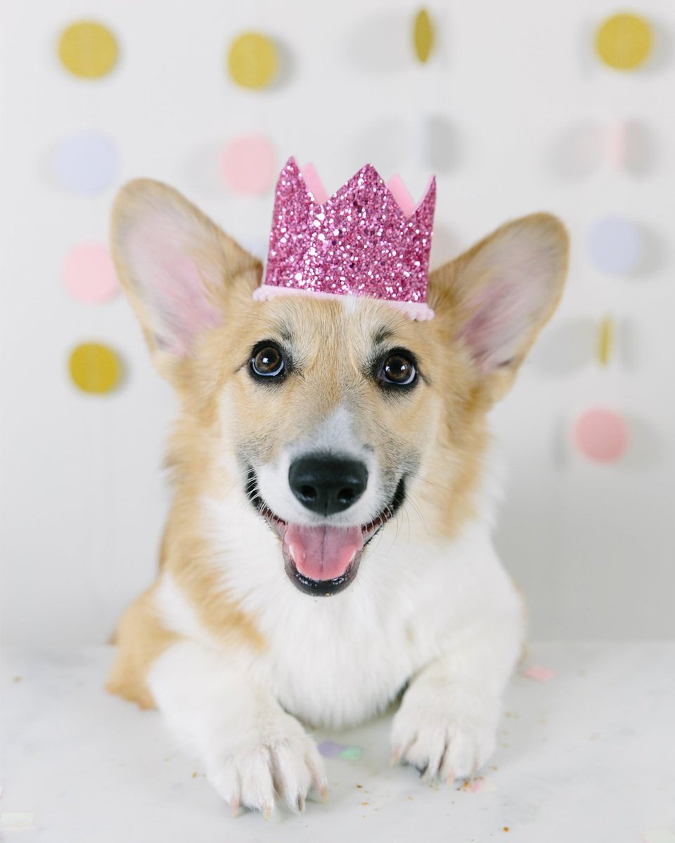 Caption this. etsy.me/2wP1HqF