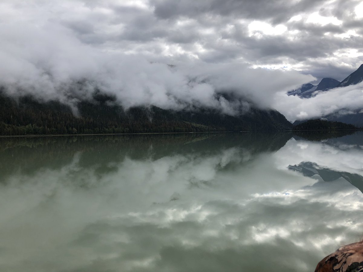 luzmor01's tweet photo. Blue River BC, Canada. We took a boat trip through a forest on a lake like a mirror in the hope of seeing bears. We didn’t see any but it didn’t matter. @ChildlineRocks2 @thundertowers #sonsofroyalty https://t.co/GhOy2F6sa3