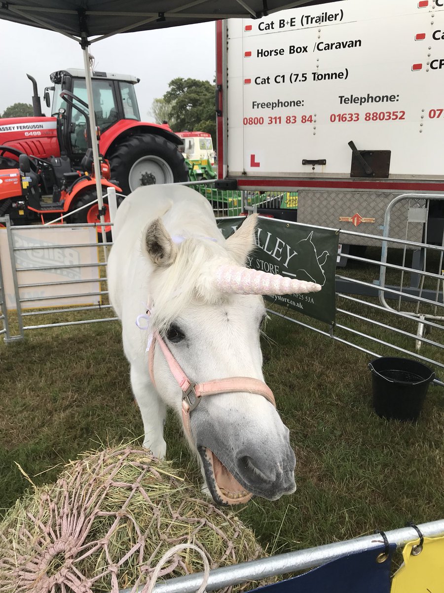 foresttrain's tweet image. Well Saturday was spent at Usk show, the highlight for me was the unicorn!!! Normal first aid duties resume tomorrow! #unicorn #usk #uskshow #uskshow2018 @UskShow