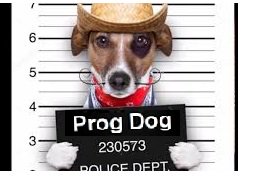 DMashak's tweet image. See ya #ProgDog