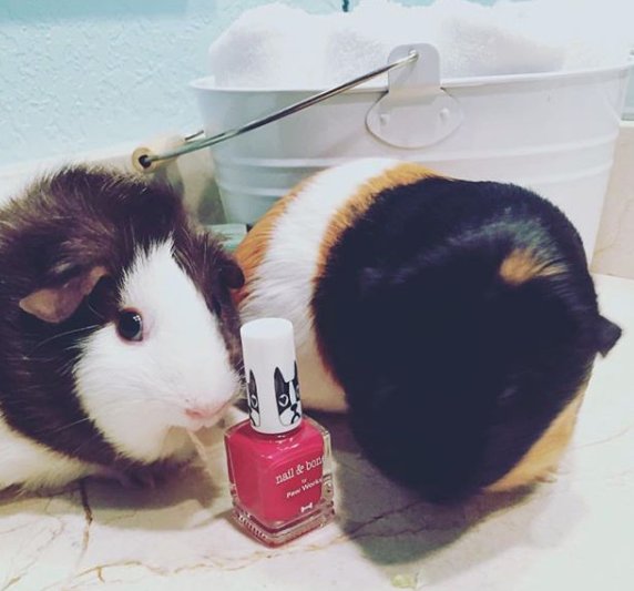 LOVE GOODLY tweet media