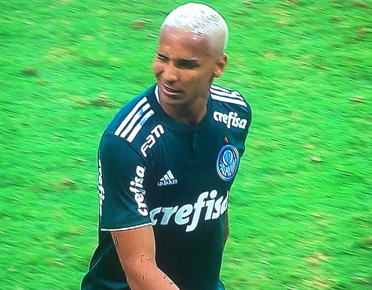 Os Palmeiristas on X: @PE_Lira @pomerense É do Palmeiras mano