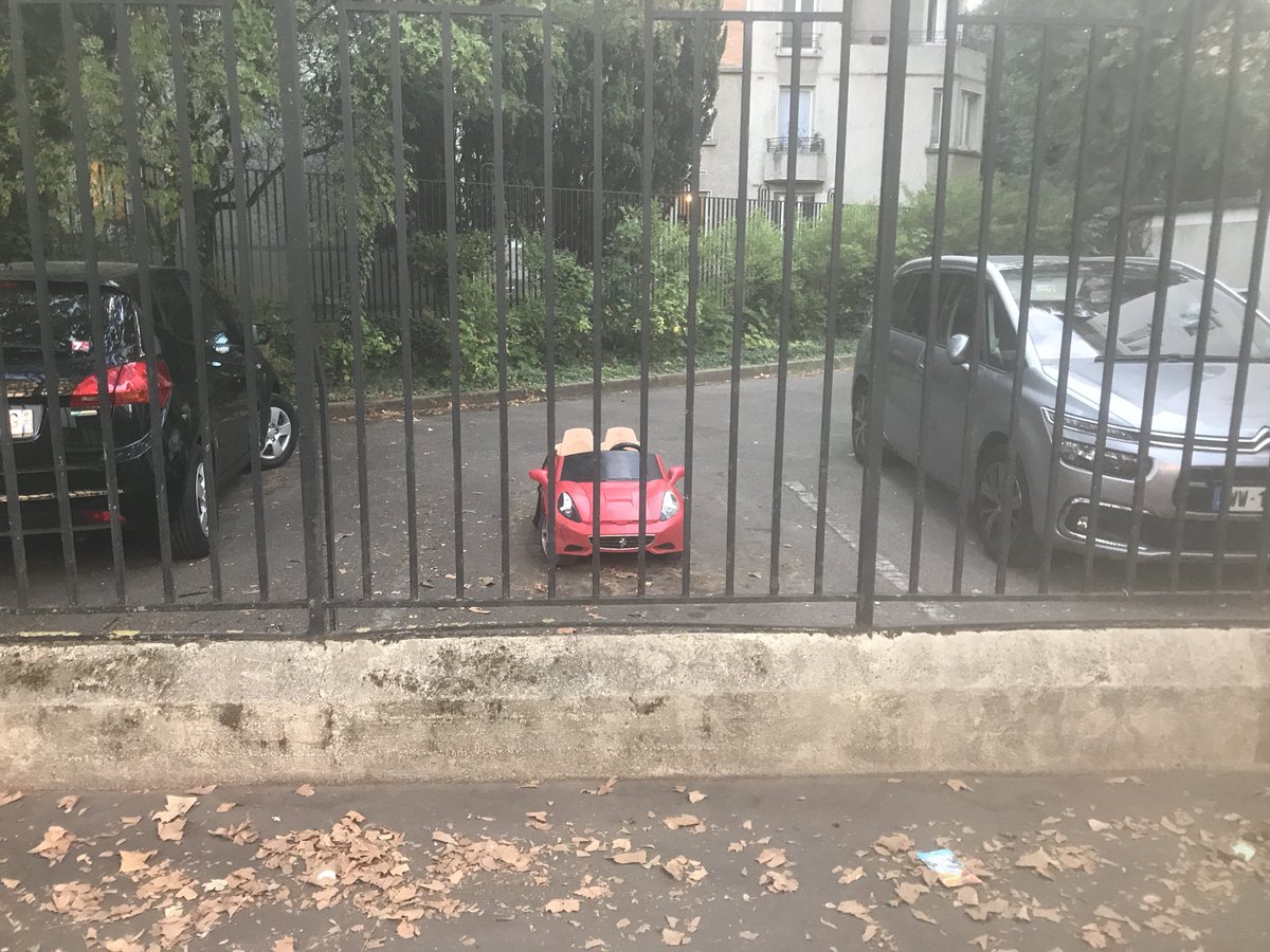 ClemLincruste's tweet image. Vu aujourd’hui à paris !
Sûrement un poussin du @PSG_inside