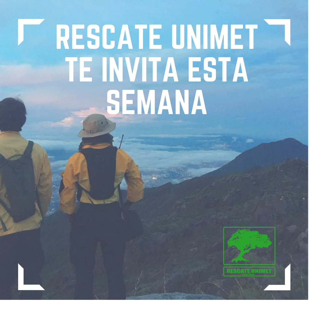 RescateUNIMET's tweet photo. ¡Bienvenido a la Unimet! En tu primera semana de clases te invitamos a: hacer rappel Lunes y miércoles en el módulo de aulas 2 de 10:30-2:00; y participar en un taller de primeros auxilios el jueves de 10-12 en el auditorio polar. Te esperamos! @RescateUNIMET  @FCEUNIMET  #Unimet https://t.co/dKsZbdl124