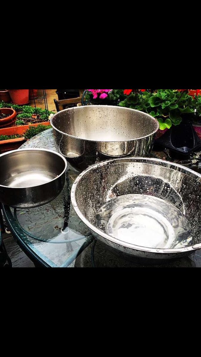 1000Greenthings's tweet photo. Maddie went vegan, collected rain water to water her plants and used vegan skin care and make up! #1000greenthings https://t.co/CBeeiZTm46