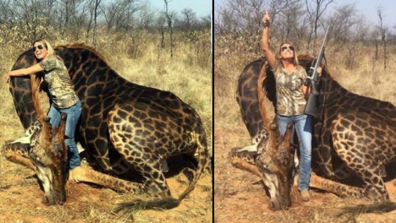 Words fail me...please retweet if you feel the same!

Ban #TrophyHunting NOW!!