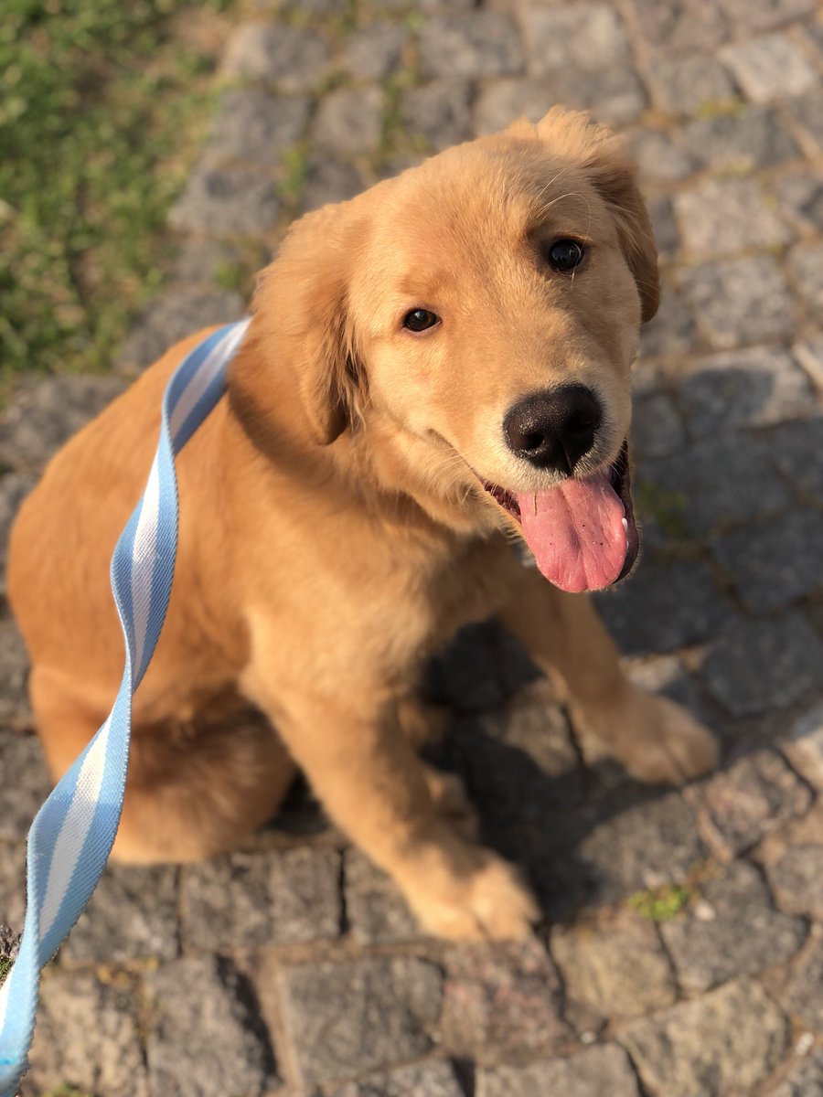 sofiaalfano1's tweet photo. Mi precioso❤️ https://t.co/0gZN0UEIuu